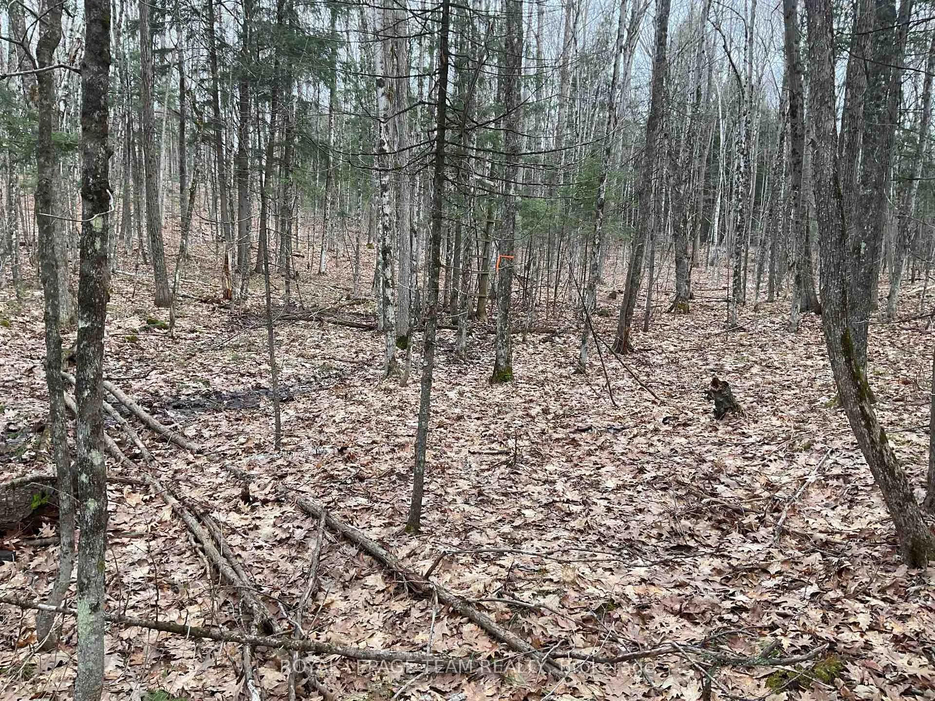 Photo 5 of 4403 Wolf Grove Road, Lanark Highlands, Lanark Highlands (Lanark) Twp — HOMEH