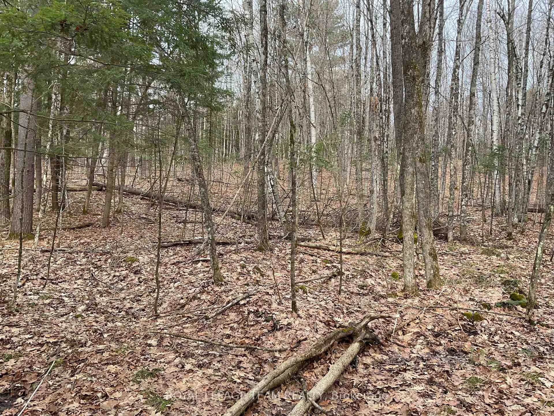 Photo 7 of 4403 Wolf Grove Road, Lanark Highlands, Lanark Highlands (Lanark) Twp — HOMEH