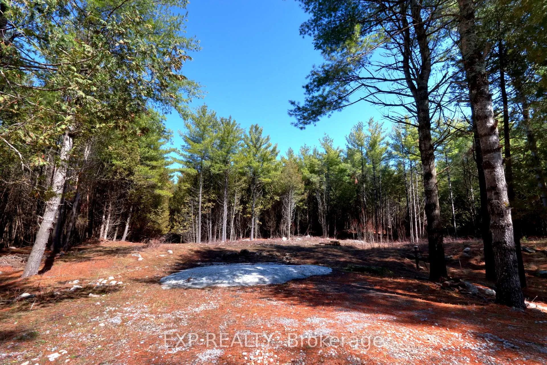 Photo of 593 County 40 Road