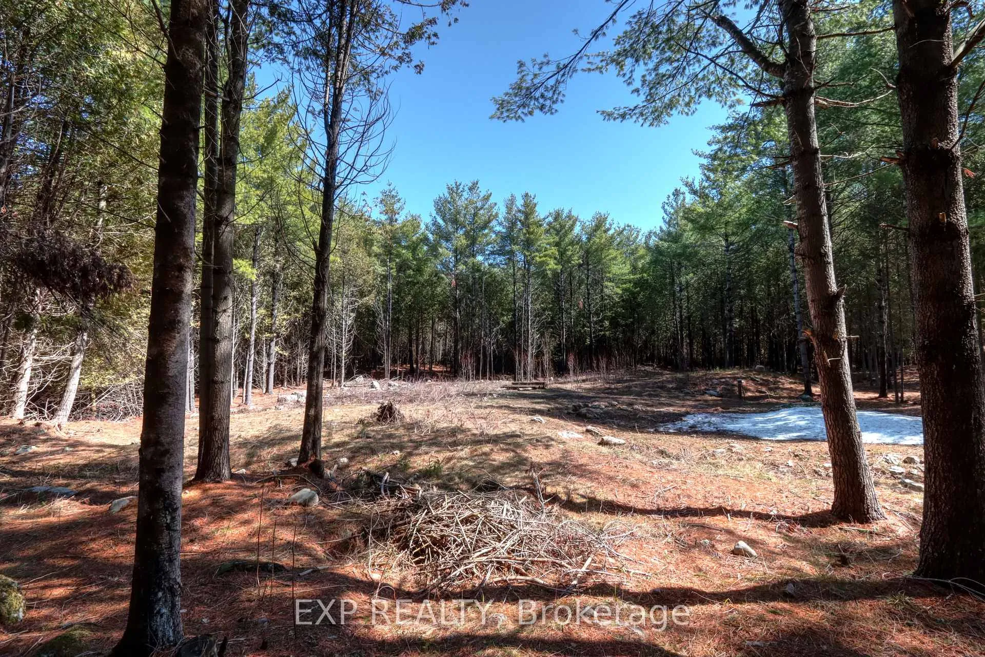 Photo 2 of 593 County 40 Road, Douro-Dummer — HOMEH
