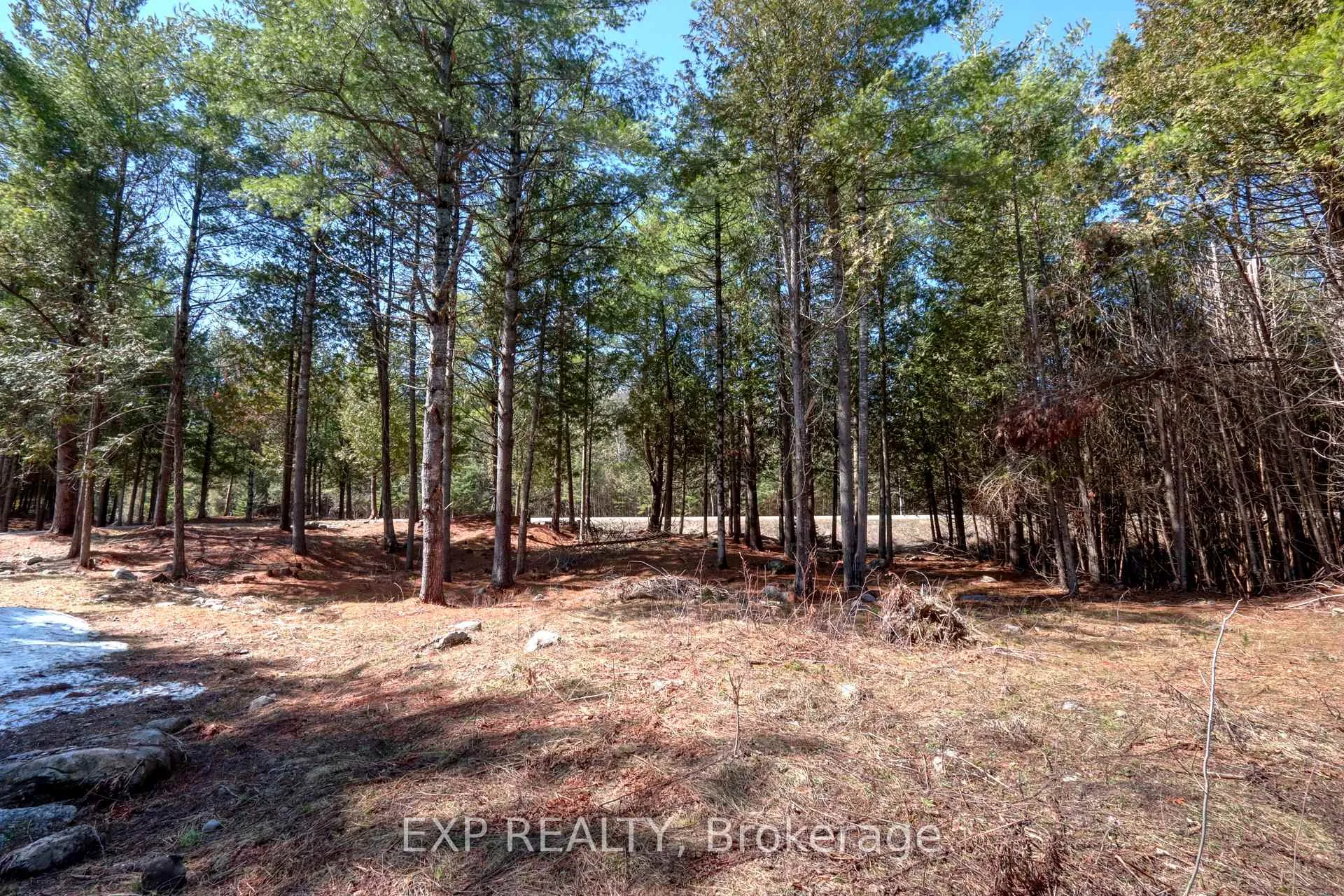 Photo 3 of 593 County 40 Road, Douro-Dummer — HOMEH