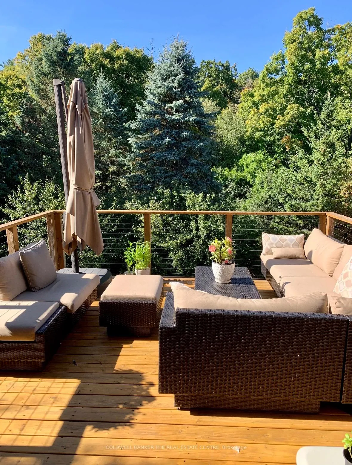 Photo 24 of 102 Deerglen Terrace, Aurora, Aurora Grove — HOMEH