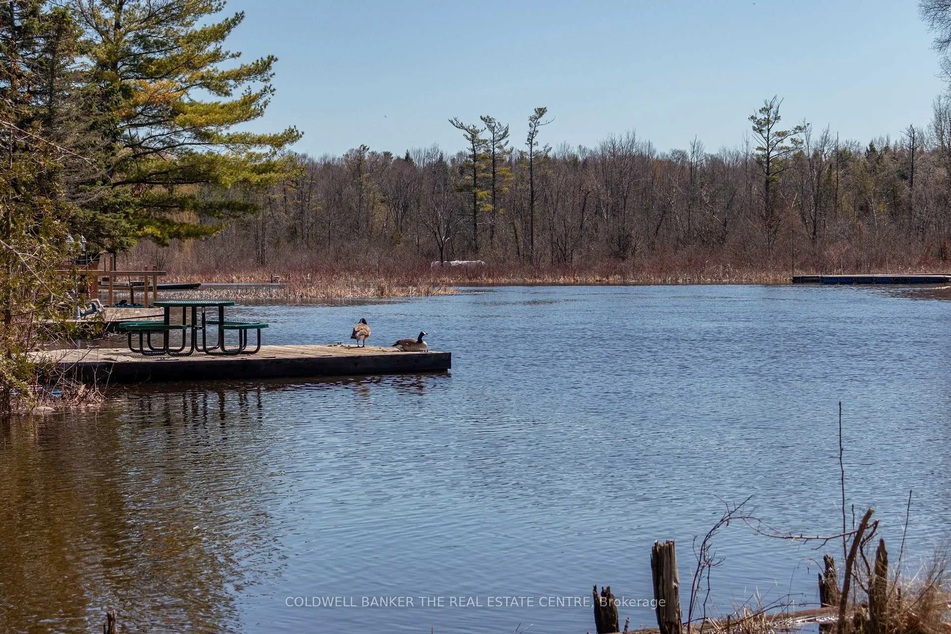 Photo 10 of 180 & 182 Riverbank Drive, Georgina, Pefferlaw — HOMEH