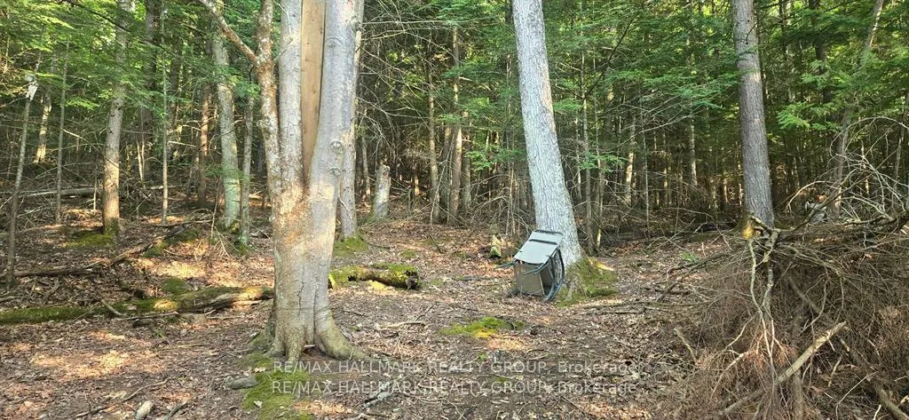 Photo 3 of Madawaska River, McNab/Braeside, Mcnab/Braeside Twps — HOMEH