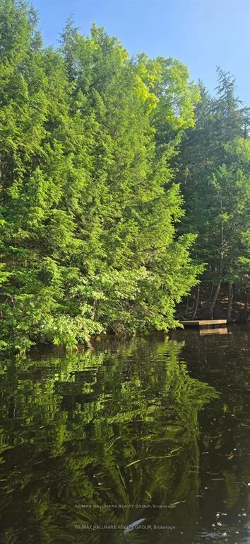 Photo 4 of Madawaska River, McNab/Braeside, Mcnab/Braeside Twps — HOMEH