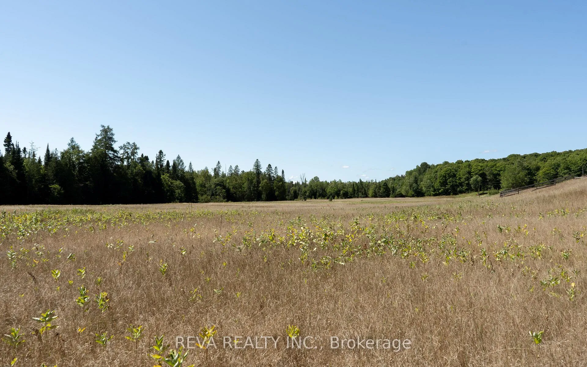 Photo 15 of 122 Albert Road, Wollaston — HOMEH