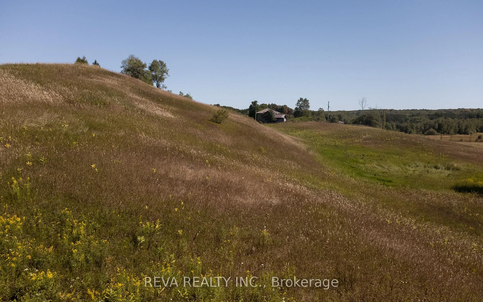 Photo 8 of 122 Albert Road, Wollaston — HOMEH