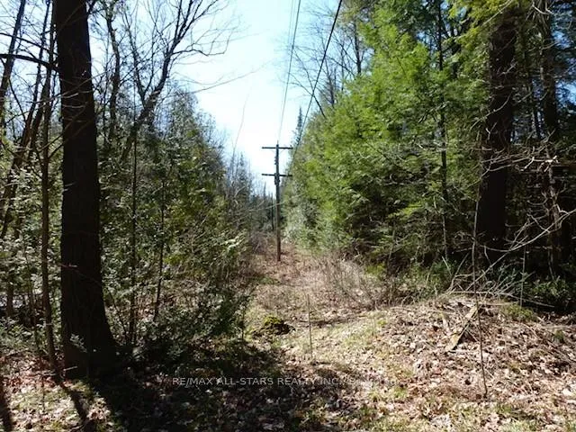 Photo 8 of 789 Foster Drive, Uxbridge, Rural Uxbridge — HOMEH