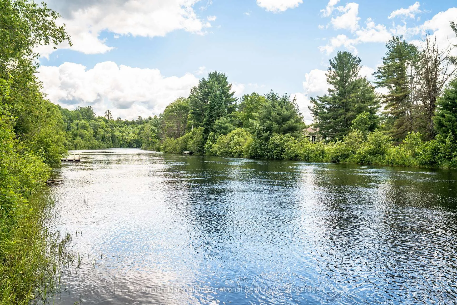 Photo 5 of 1016 Zoe Lane, Bracebridge, Macaulay — HOMEH