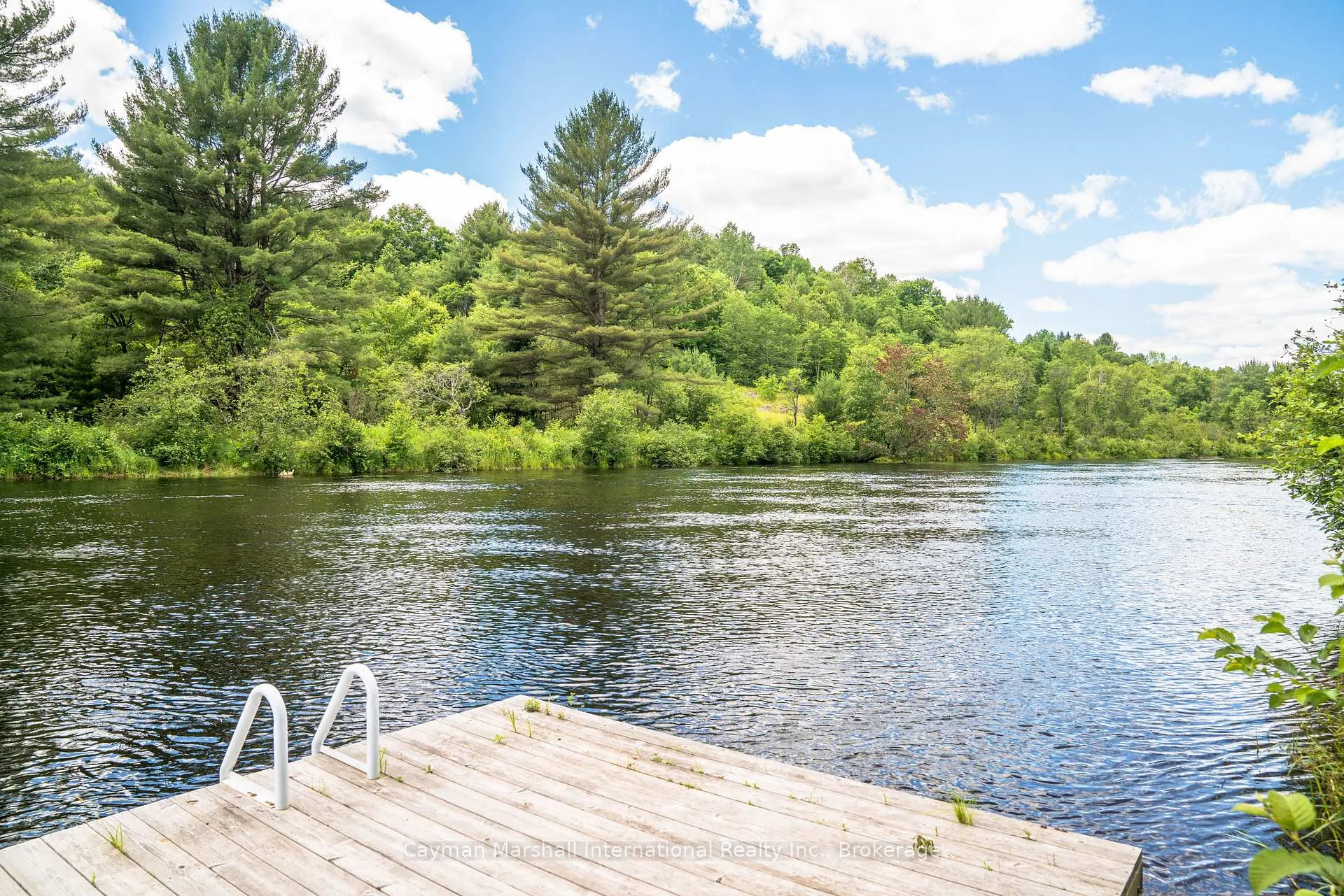 Photo 6 of 1016 Zoe Lane, Bracebridge, Macaulay — HOMEH