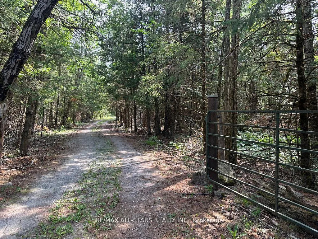 Photo 6 of 380 Ledge Road, Trent Lakes — HOMEH