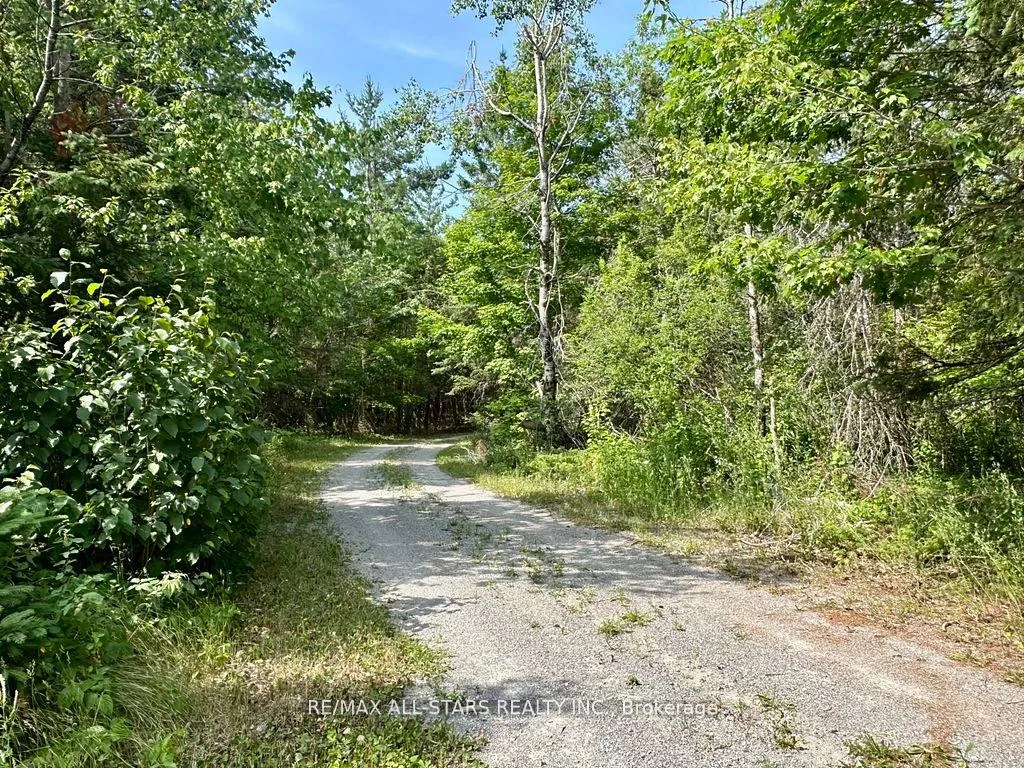 Photo 48 of 380 Ledge Road, Trent Lakes — HOMEH