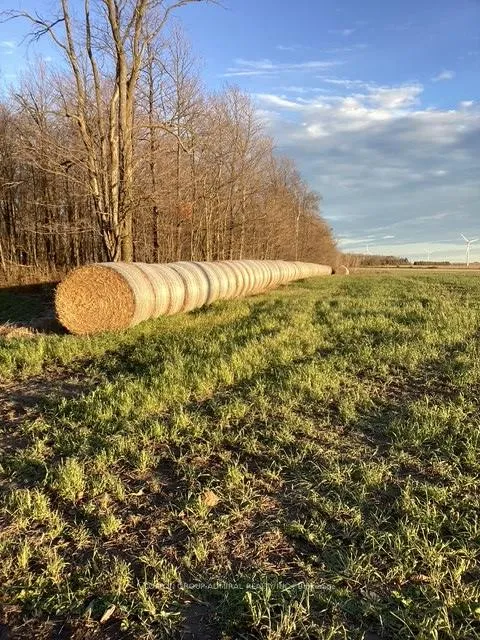 Photo 6 of Concession 7, Melancthon, Rural Melancthon — HOMEH