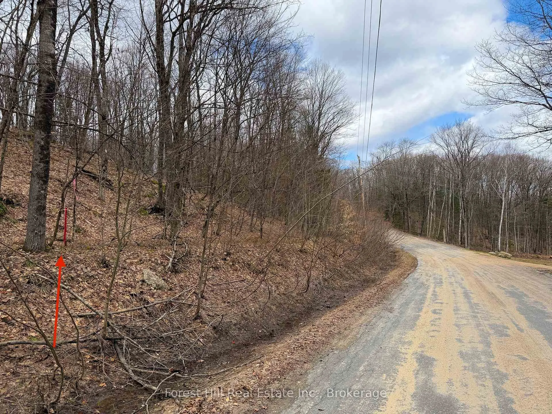 Photo 1 of 1249 Black River Road, Bracebridge, Oakley — HOMEH