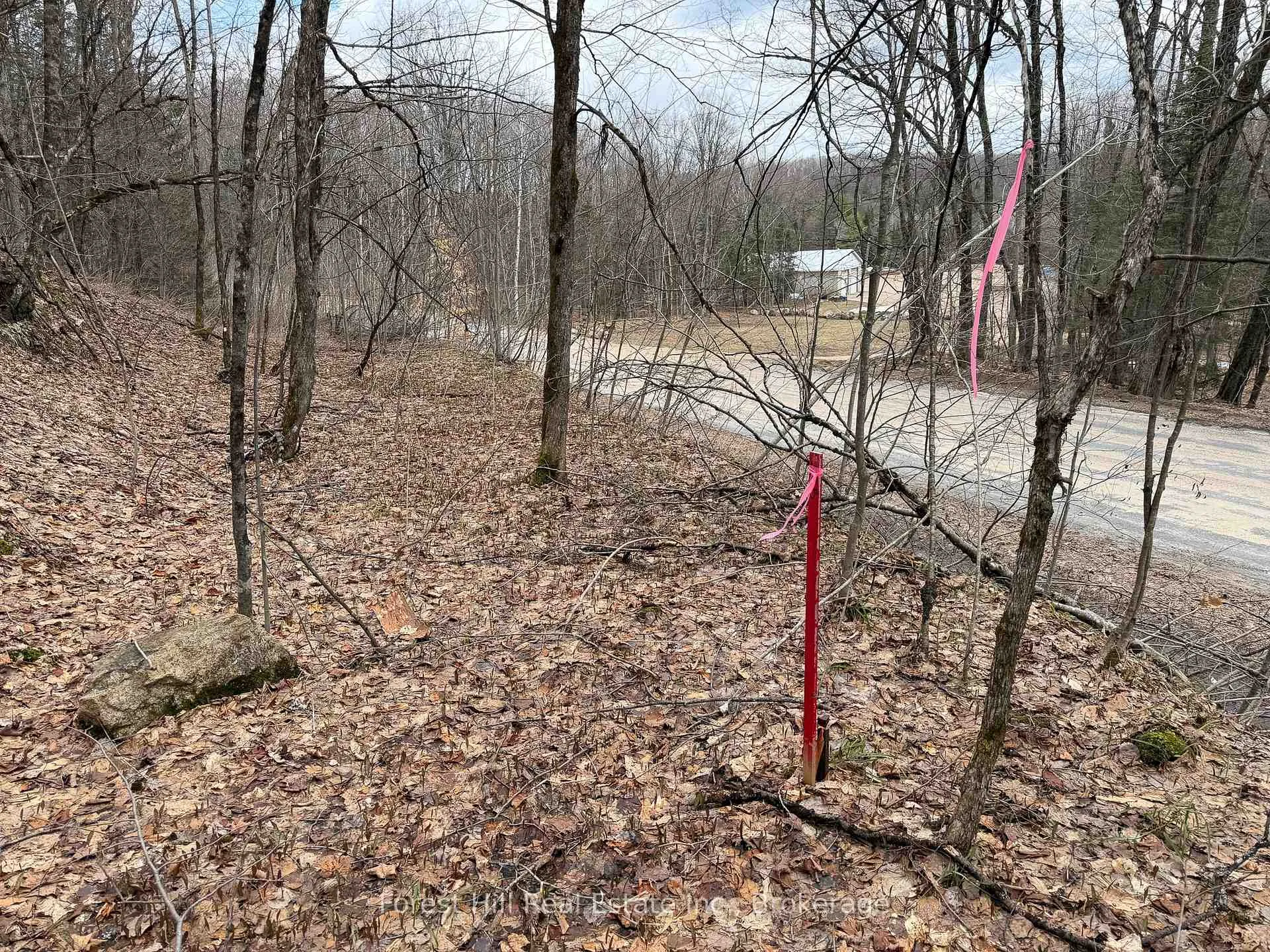 Photo 2 of 1249 Black River Road, Bracebridge, Oakley — HOMEH