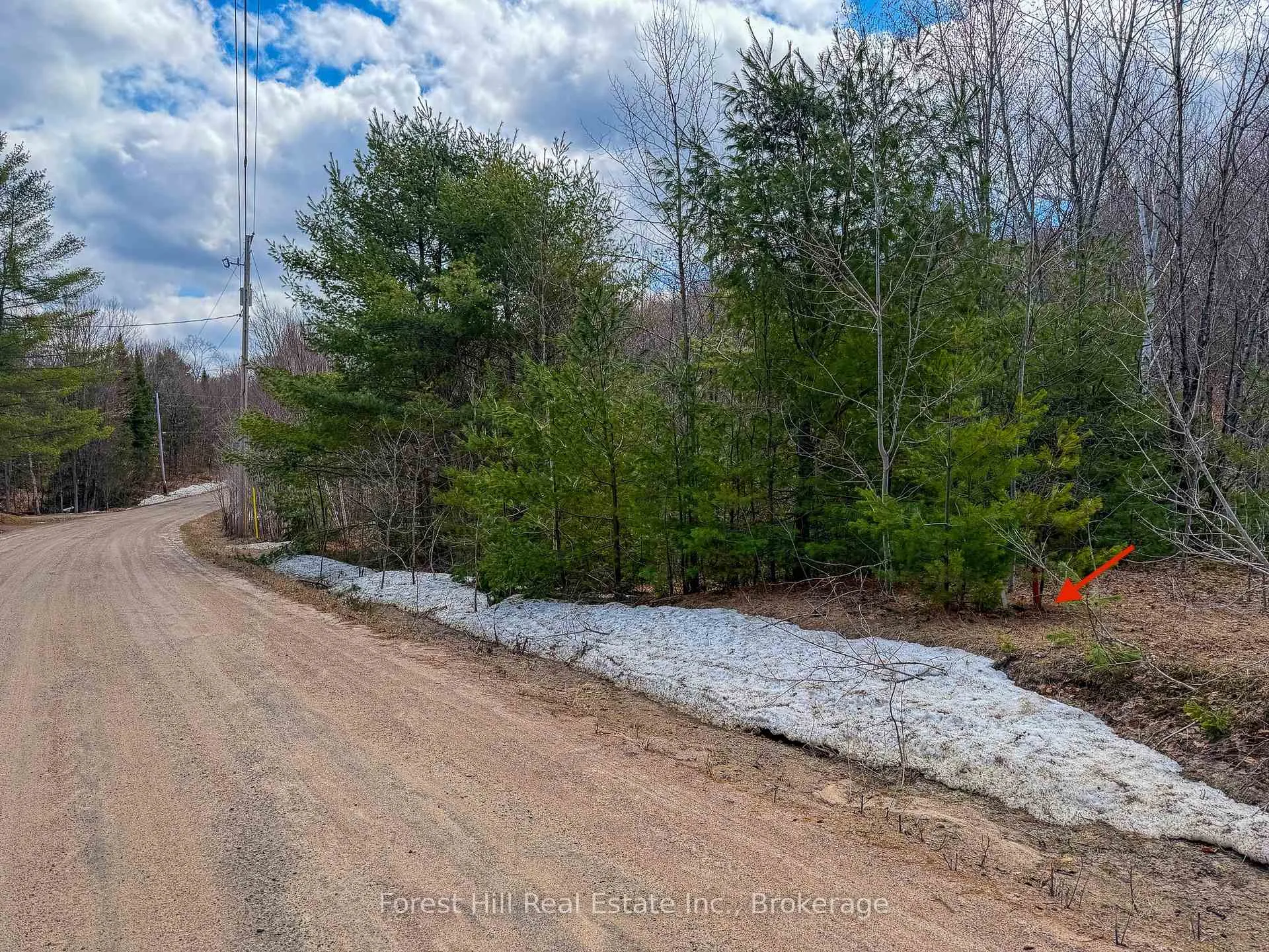 Photo 5 of 1249 Black River Road, Bracebridge, Oakley — HOMEH