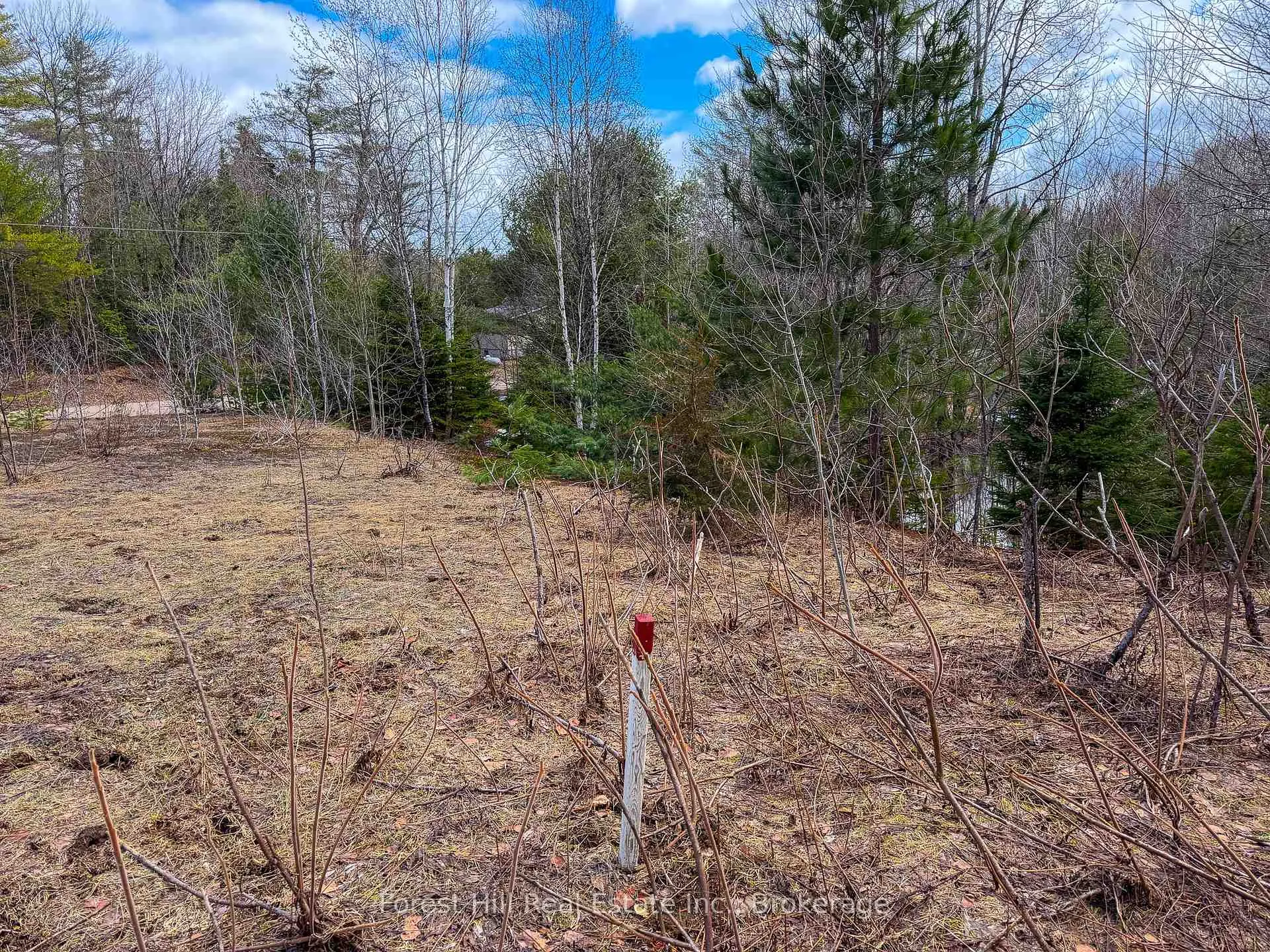 Photo 8 of 1249 Black River Road, Bracebridge, Oakley — HOMEH