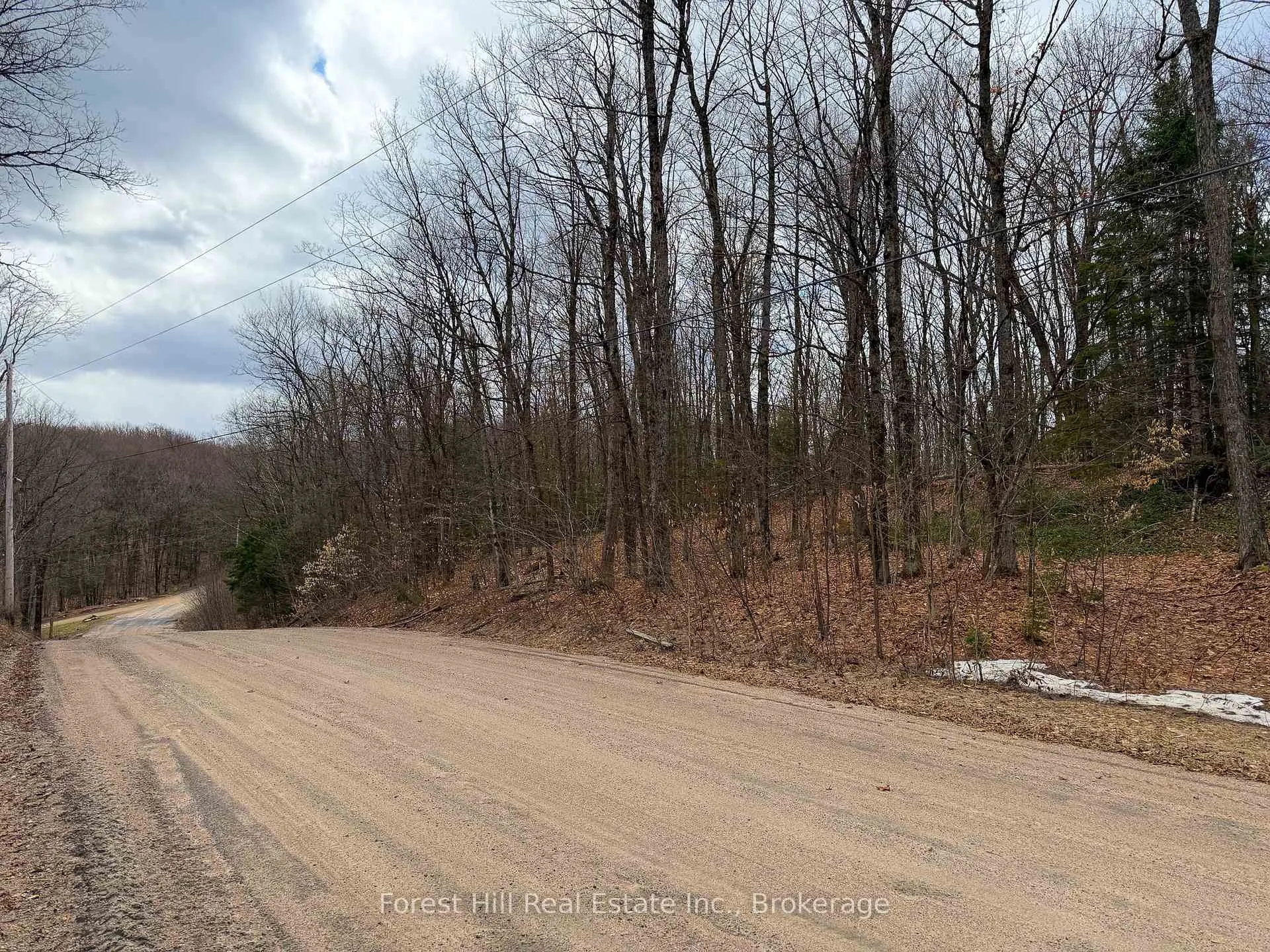 Photo 10 of 1249 Black River Road, Bracebridge, Oakley — HOMEH