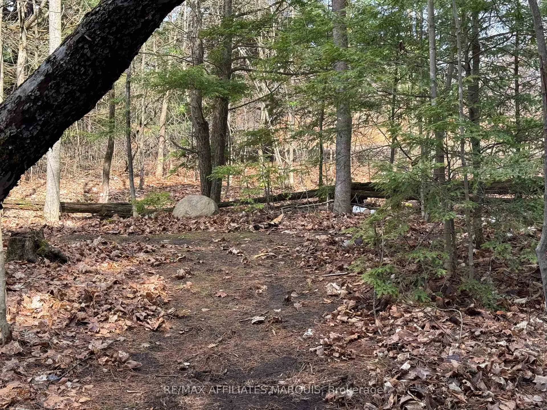 Photo 50 of 239 Bay Road, Rideau Lakes, Rideau Lakes (South Elmsley) Twp — HOMEH