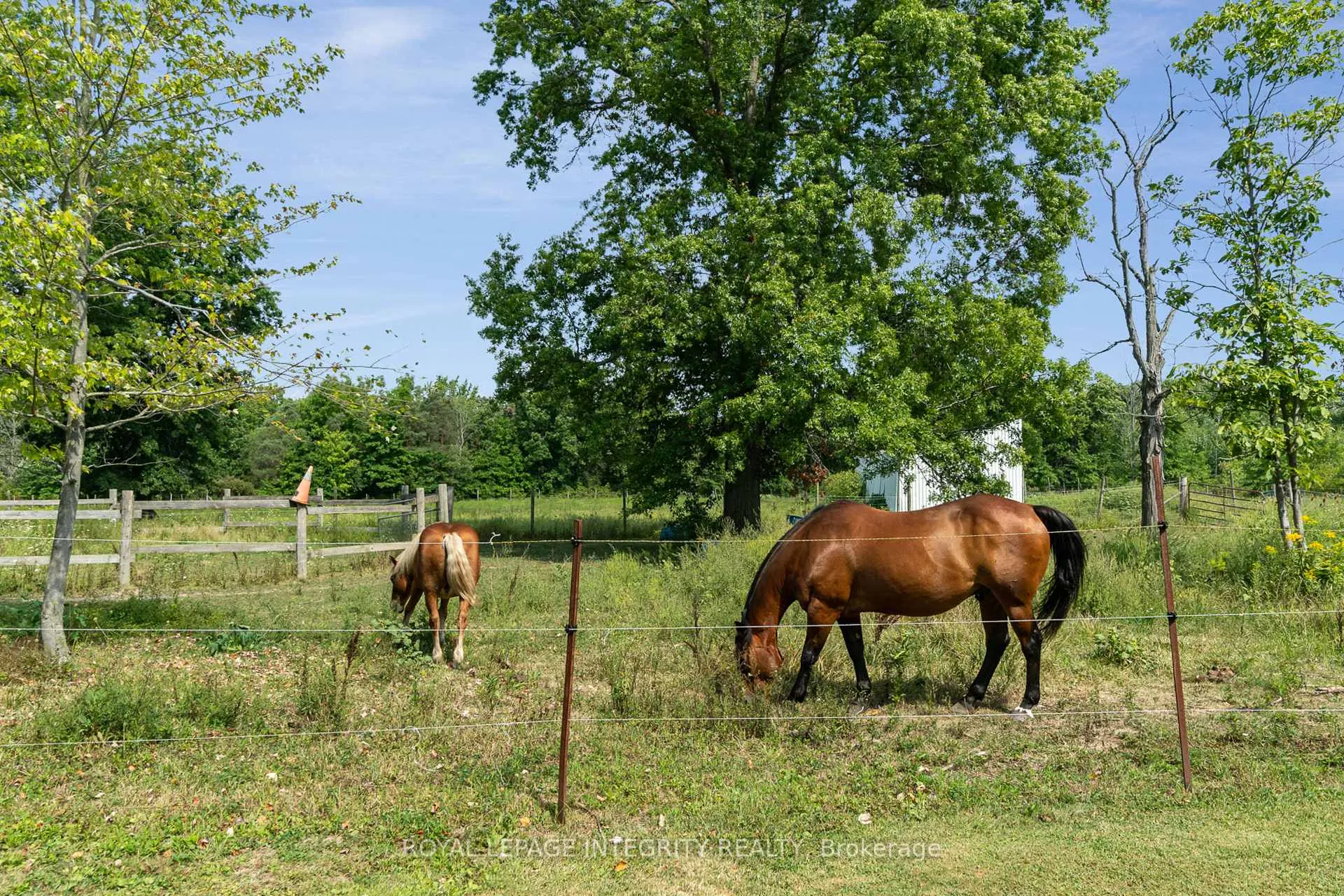 Photo 26 of 5801 Bossert Road, Niagara Falls, Lyons Creek — HOMEH