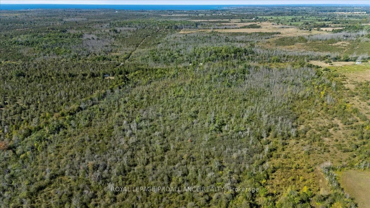 Photo 8 of 467 Lighthall Road, Prince Edward County, Athol Ward — HOMEH