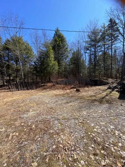 Photo 2 of 1464 Buckslide Road, Algonquin Highlands, Stanhope — HOMEH