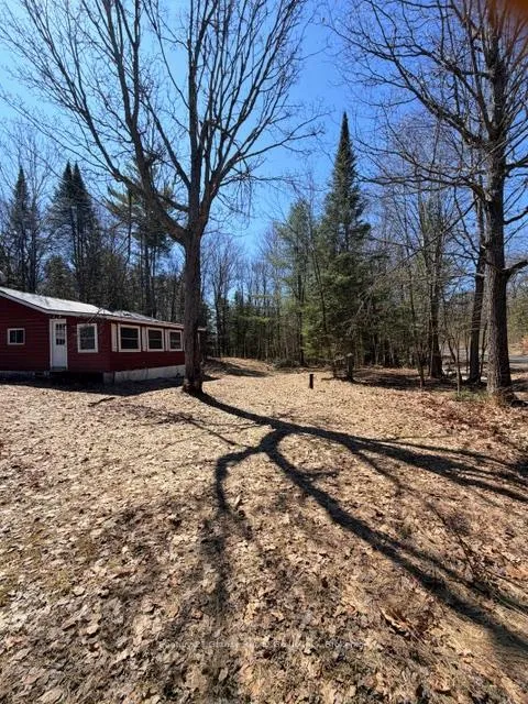 Photo 3 of 1464 Buckslide Road, Algonquin Highlands, Stanhope — HOMEH