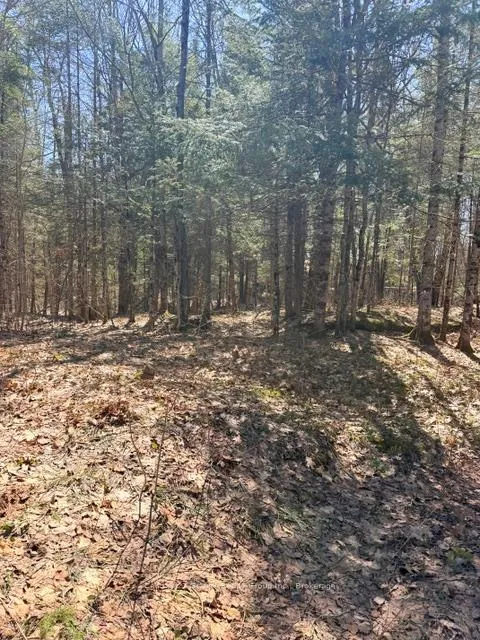 Photo 4 of 1464 Buckslide Road, Algonquin Highlands, Stanhope — HOMEH