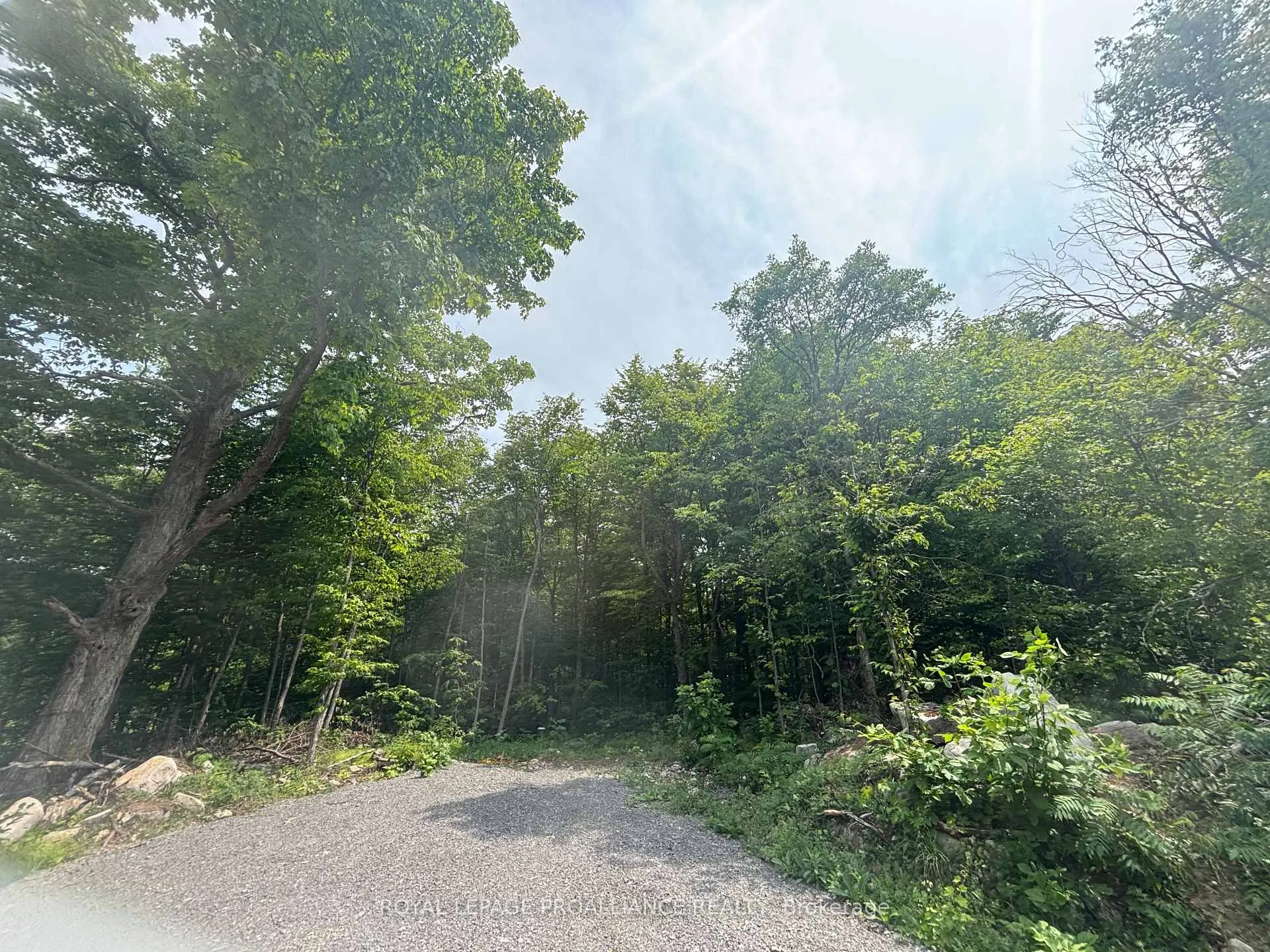 Photo 2 of Unit Severed B, 554 Pigden Road, Madoc — HOMEH