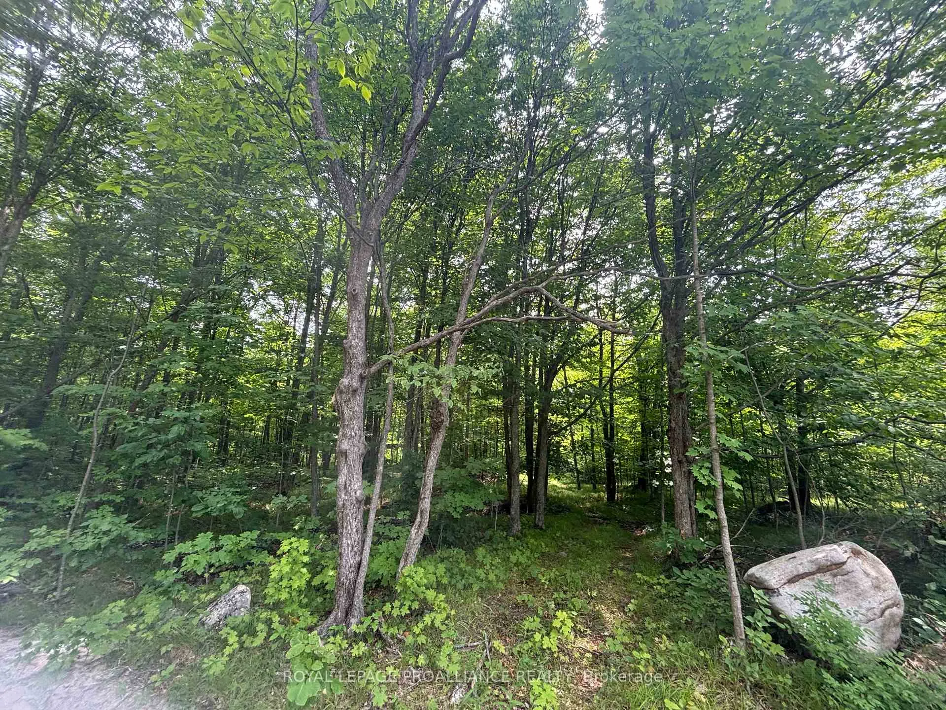 Photo 3 of Unit Severed B, 554 Pigden Road, Madoc — HOMEH