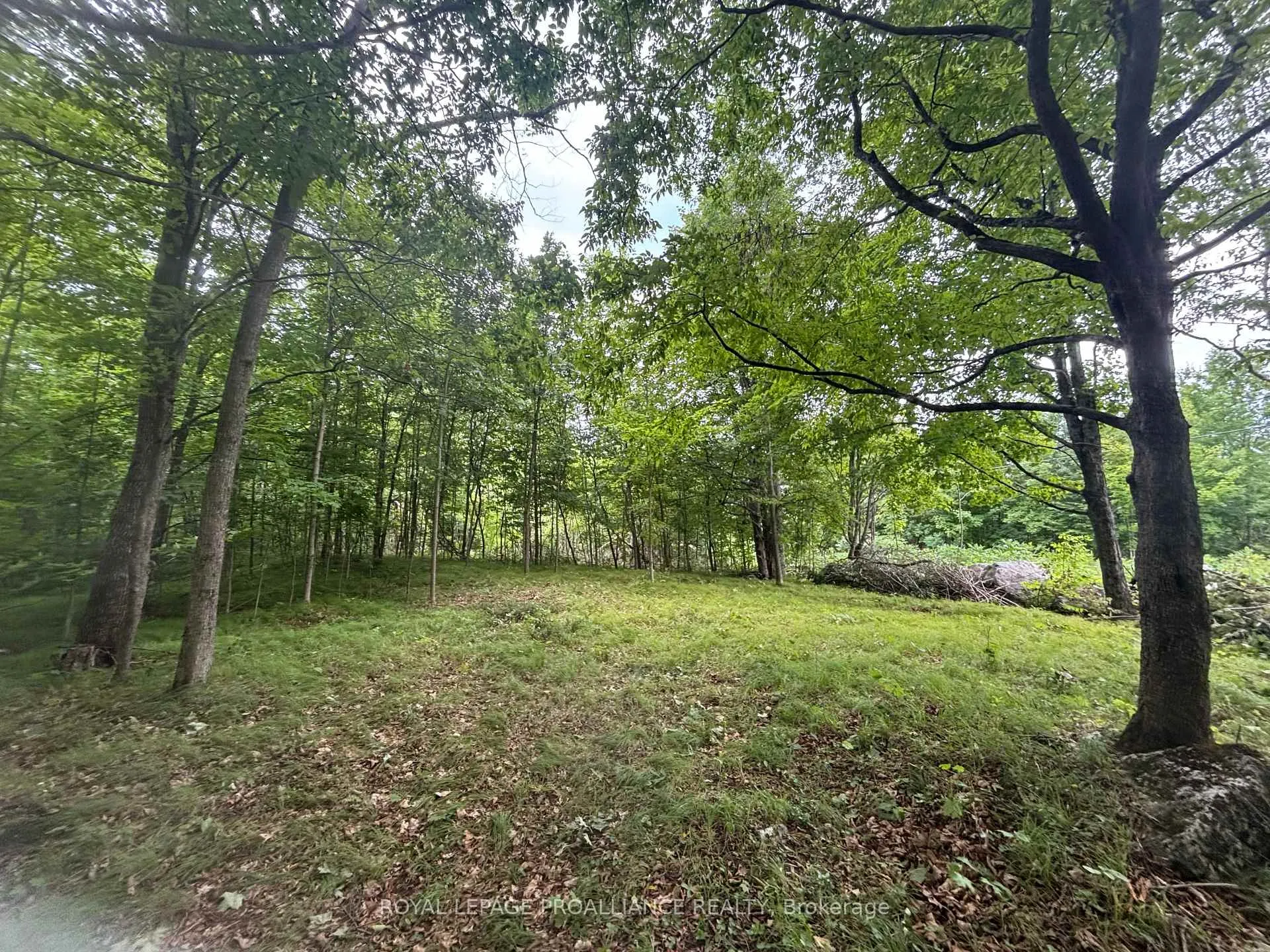 Photo 6 of Unit Severed B, 554 Pigden Road, Madoc — HOMEH