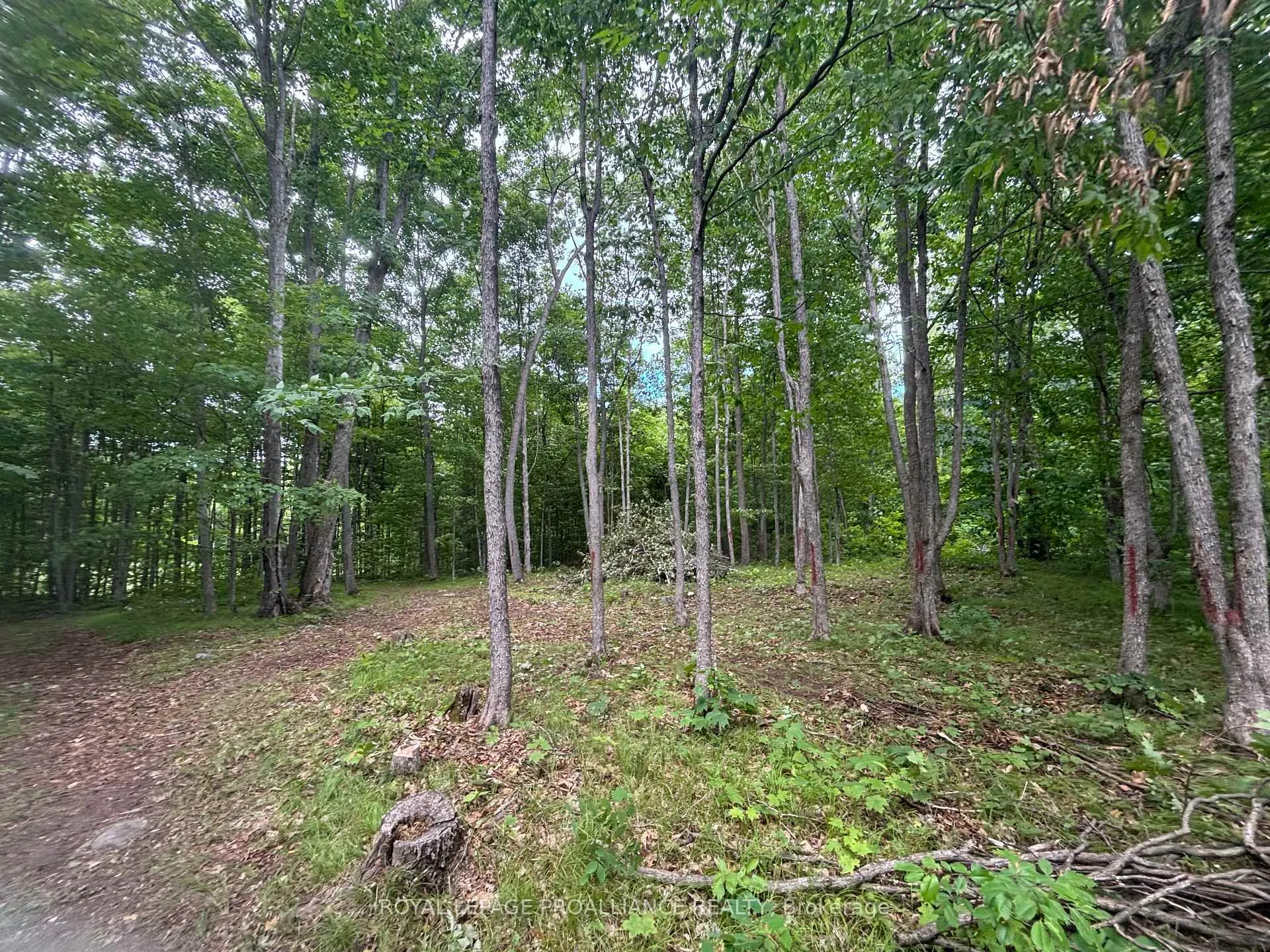 Photo 7 of Unit Severed B, 554 Pigden Road, Madoc — HOMEH