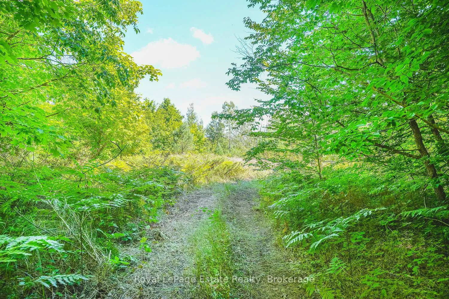 Photo 1 of Lot 2 Sixth Street, South Bruce Peninsula — HOMEH
