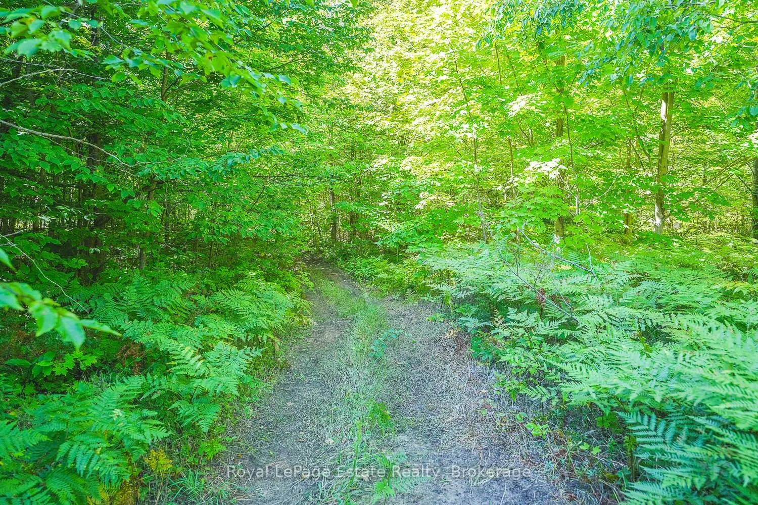 Photo 3 of Lot 2 Sixth Street, South Bruce Peninsula — HOMEH