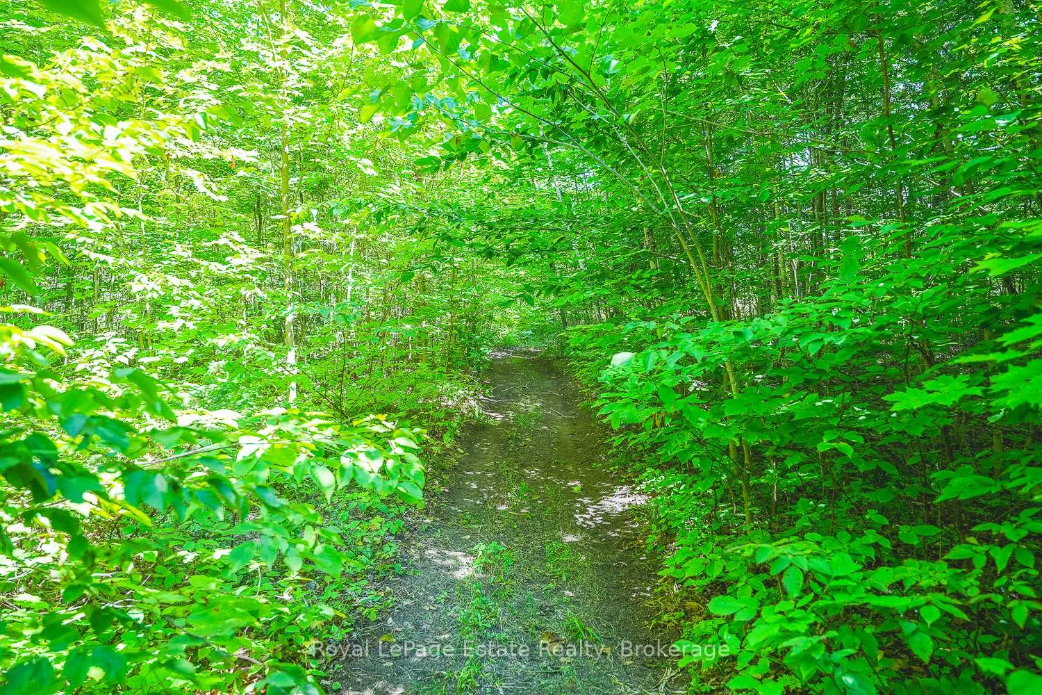 Photo 4 of Lot 2 Sixth Street, South Bruce Peninsula — HOMEH