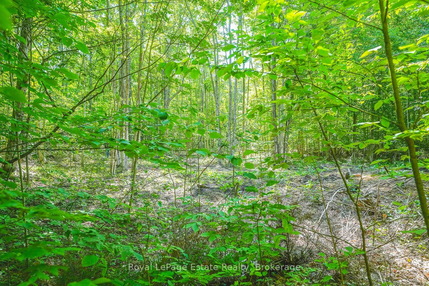 Photo 6 of Lot 2 Sixth Street, South Bruce Peninsula — HOMEH