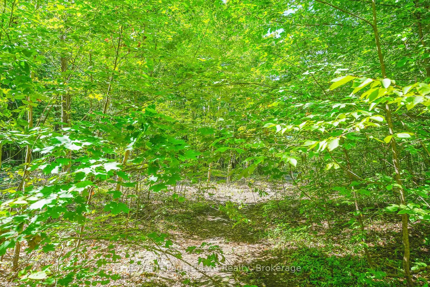 Photo 7 of Lot 2 Sixth Street, South Bruce Peninsula — HOMEH