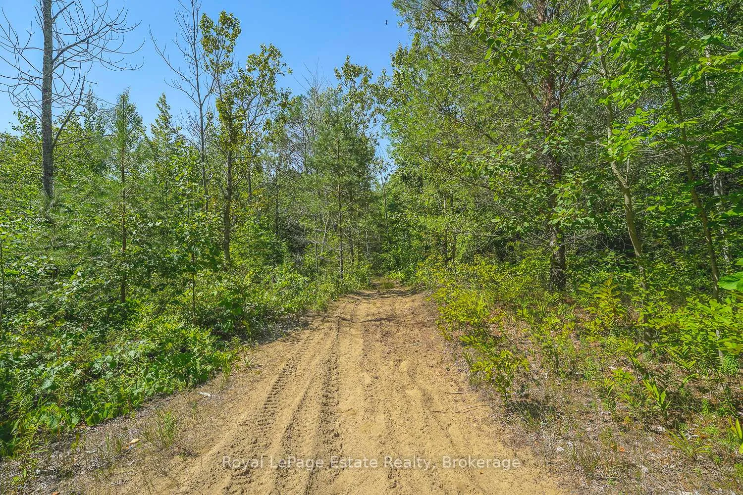 Photo 13 of Lot 2 Sixth Street, South Bruce Peninsula — HOMEH
