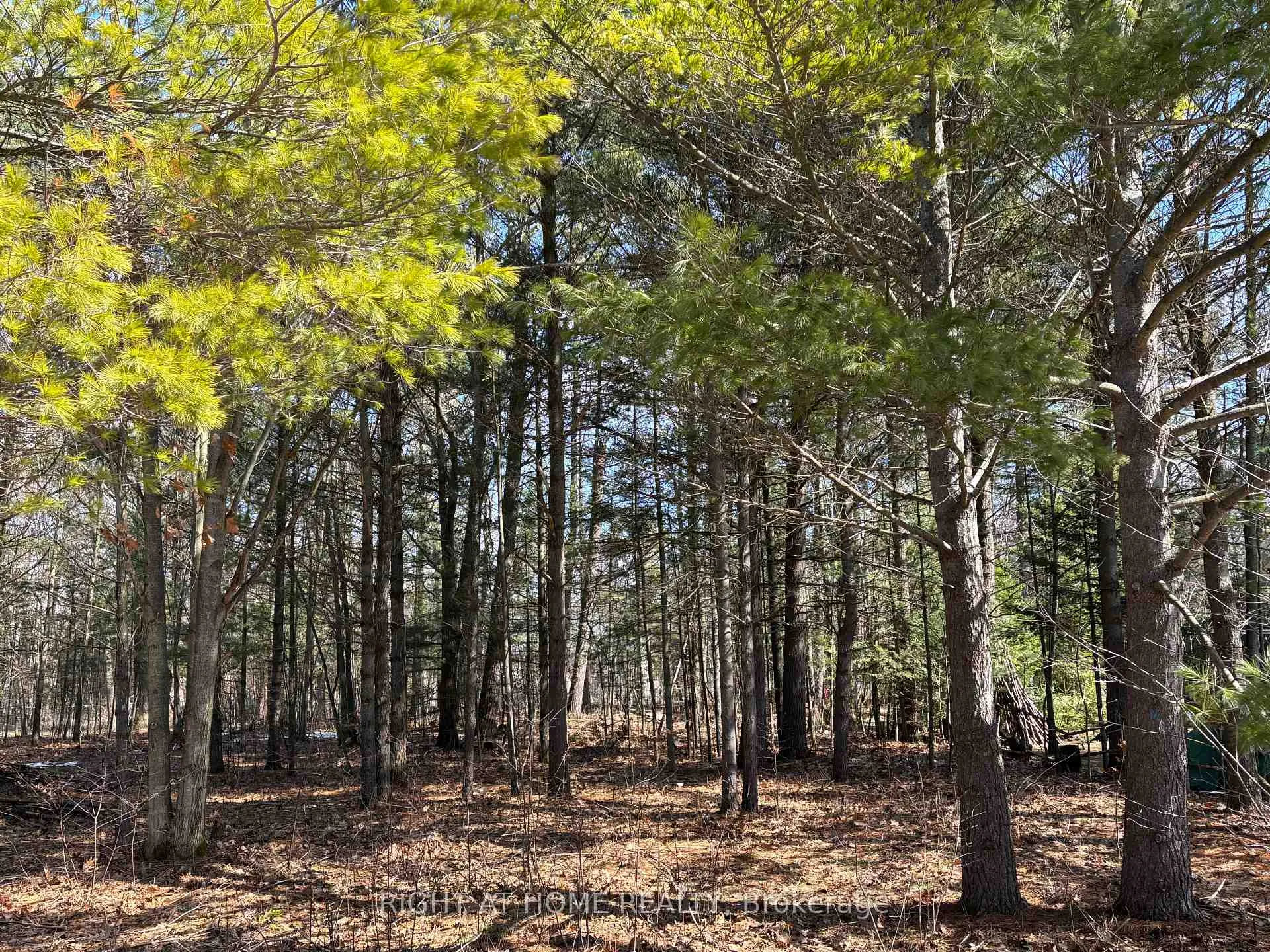 Photo 1 of 137 Nicole Boulevard, Tiny, Rural Tiny — HOMEH