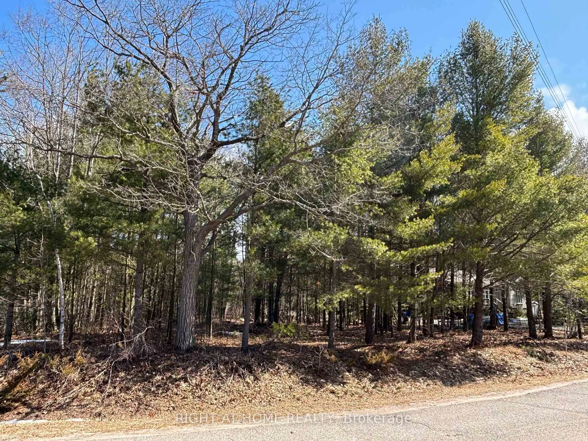 Photo 2 of 137 Nicole Boulevard, Tiny, Rural Tiny — HOMEH