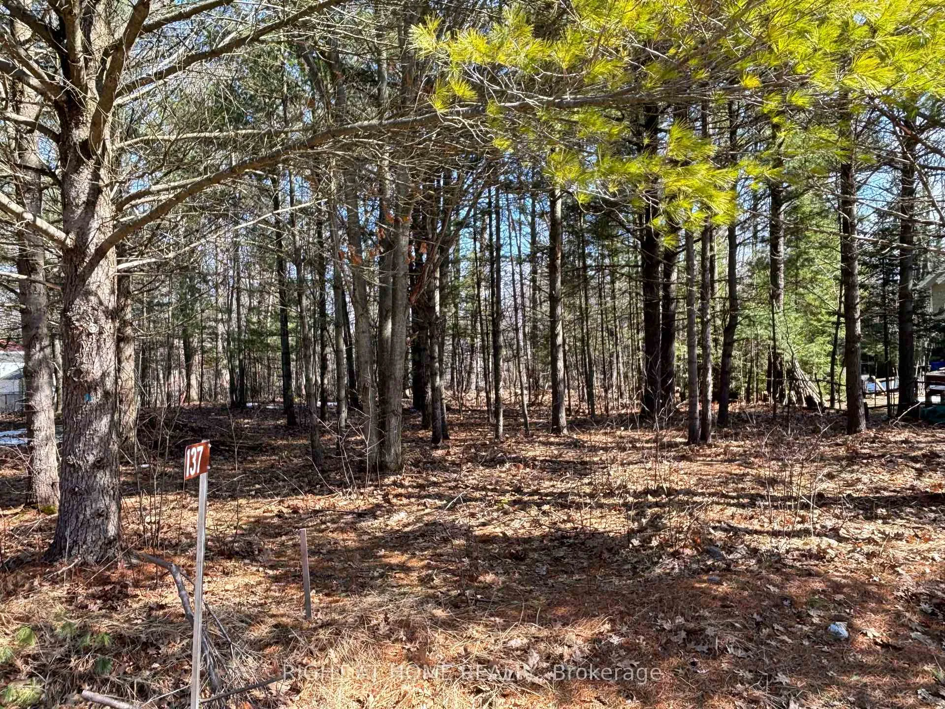 Photo 3 of 137 Nicole Boulevard, Tiny, Rural Tiny — HOMEH