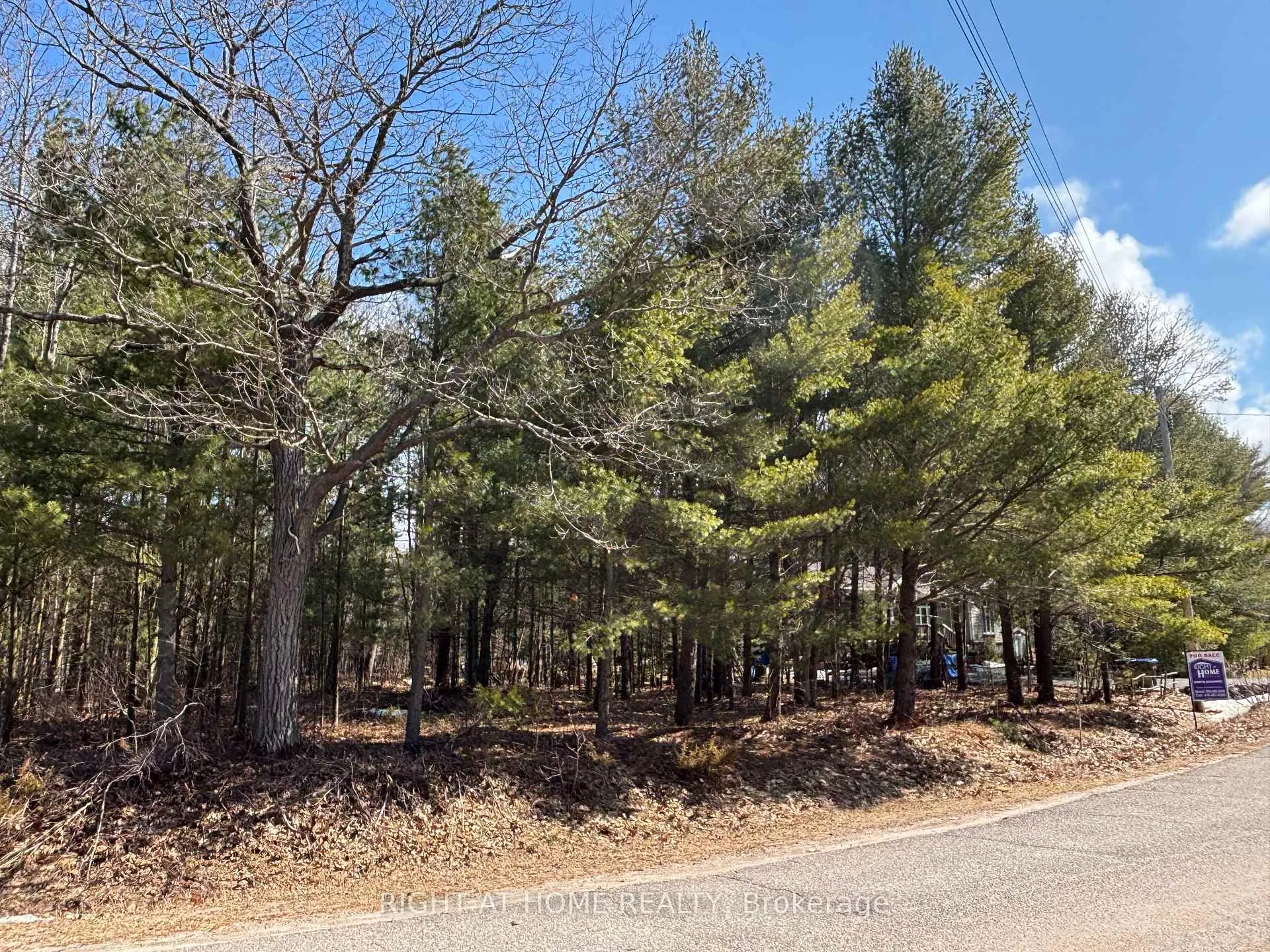 Photo 4 of 137 Nicole Boulevard, Tiny, Rural Tiny — HOMEH