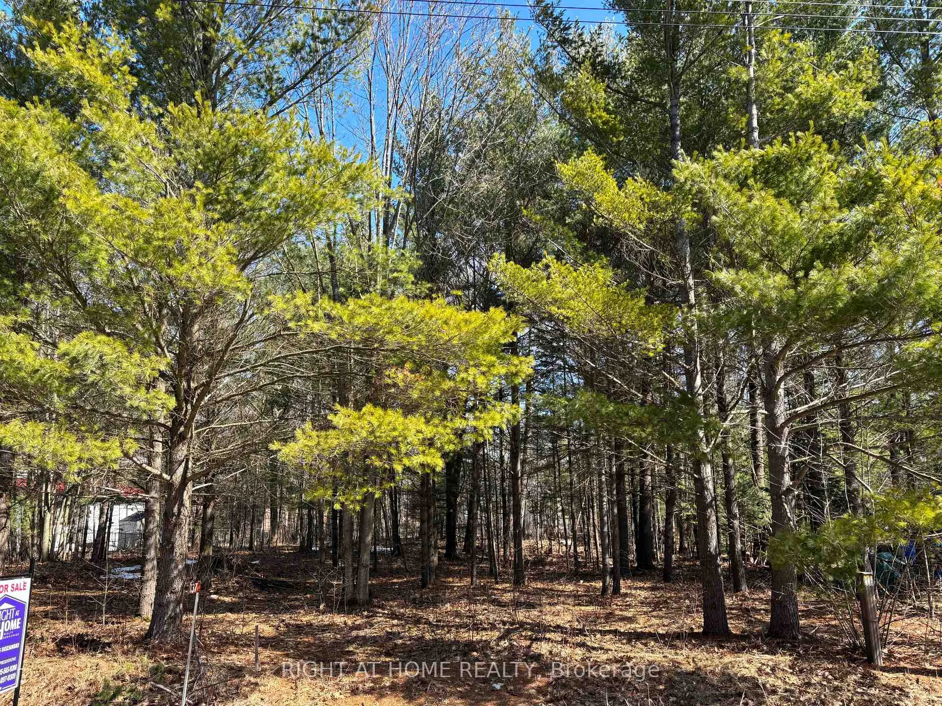 Photo 5 of 137 Nicole Boulevard, Tiny, Rural Tiny — HOMEH