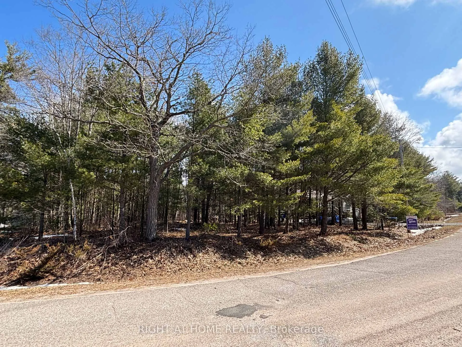 Photo 6 of 137 Nicole Boulevard, Tiny, Rural Tiny — HOMEH