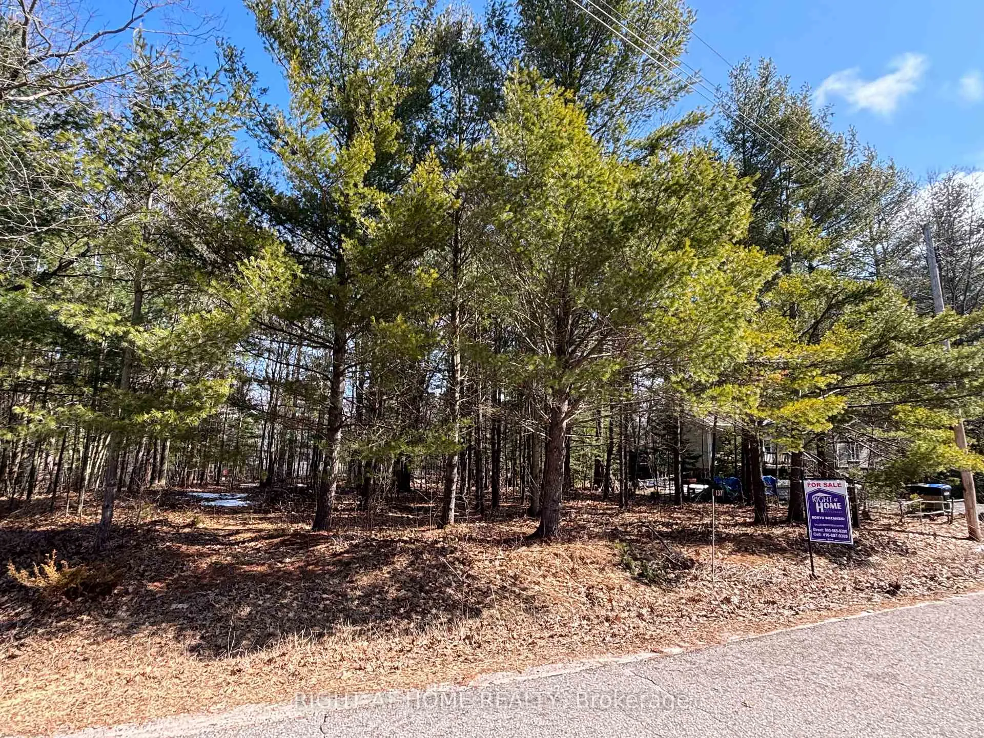 Photo 7 of 137 Nicole Boulevard, Tiny, Rural Tiny — HOMEH
