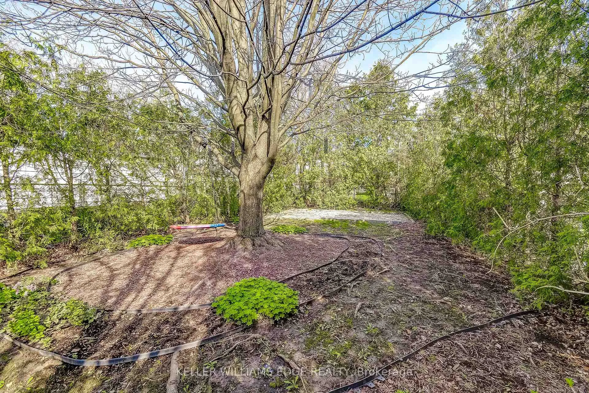 Photo 30 of 53 East 19th Street, Hamilton, Inch Park — HOMEH