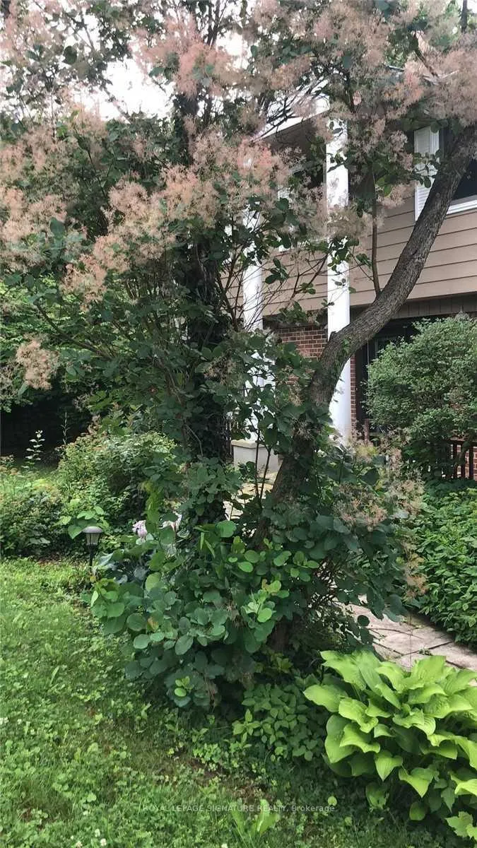 Photo 36 of 1 Park Brook Place, Markham, Royal Orchard — HOMEH