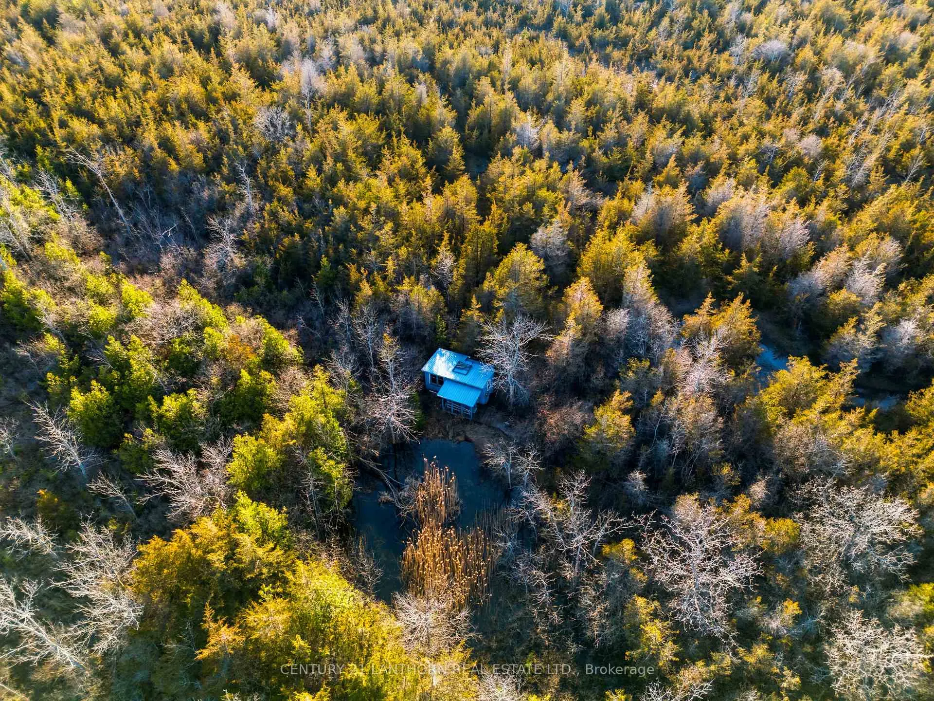 Photo 6 of Hill Top Road, Prince Edward County, South Marysburg Ward — HOMEH