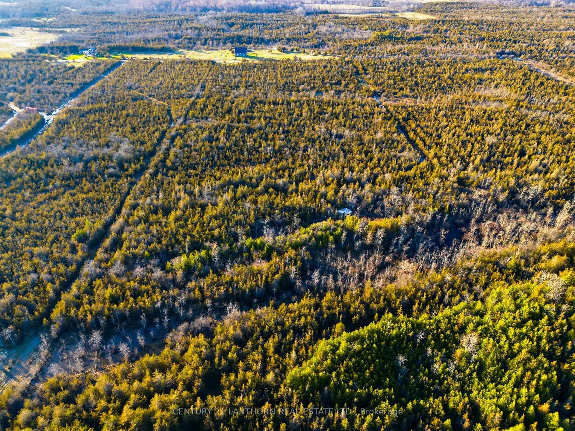 Photo 11 of Hill Top Road, Prince Edward County, South Marysburg Ward — HOMEH