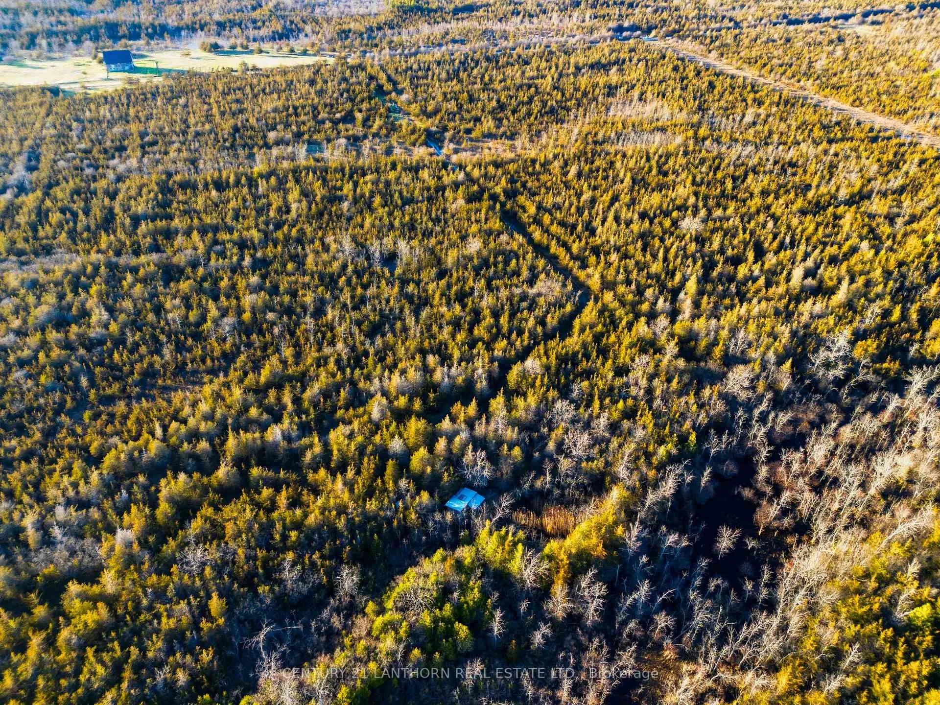 Photo 12 of Hill Top Road, Prince Edward County, South Marysburg Ward — HOMEH